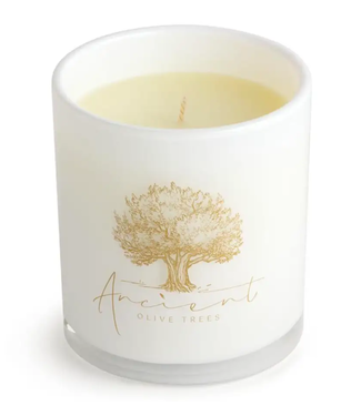 Ancient Olive Trees Reminisce White Glass 13.5oz Scented Candle