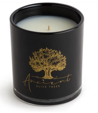 Ancient Olive Trees Silk Road Black Glass 13.5oz Scented Candle