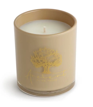 Ancient Olive Trees Saddle Brown Glass 13.5oz Scented Candle
