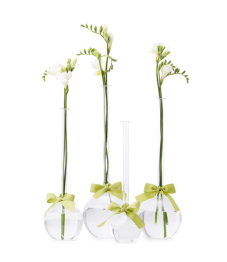 Two's Company Xtra-Small Glass Bubble Vase with Green Ribbon (sold separately)