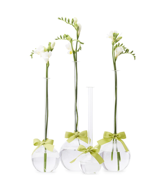 Two's Company Small Glass Bubble Vase with Green Ribbon (sold separately)