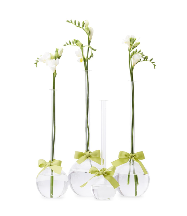 Small Glass Bubble Vase with Green Ribbon (sold separately)