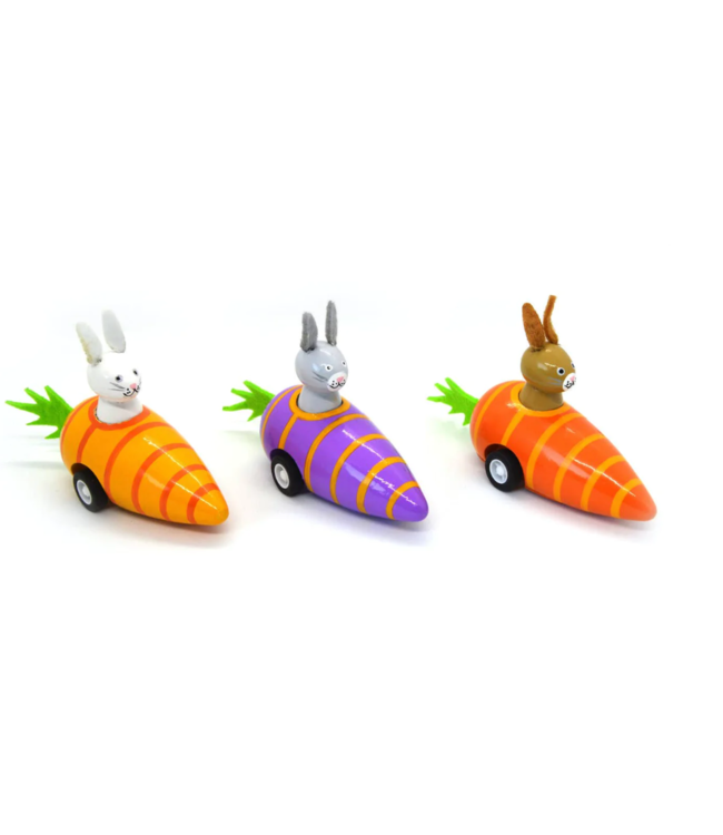 Bunny in Carrot Pullback