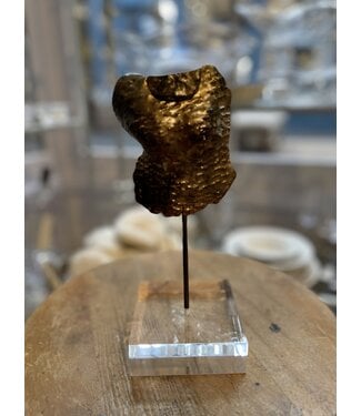 Colleen Frampton Simple Gold Torso with Acrylic Base