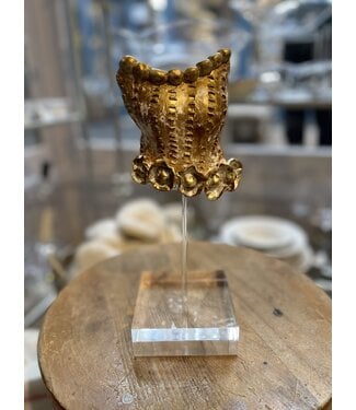 Colleen Frampton Beaded Gold Torso with Acrylic Base