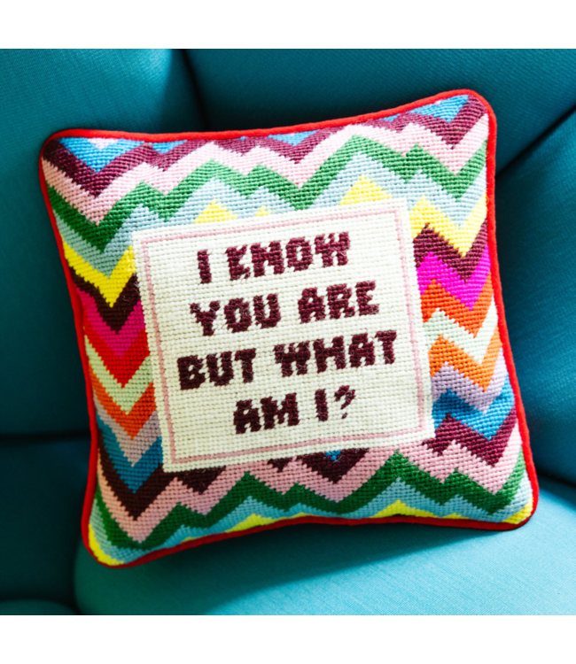 But what I am Needlepoint Pillow