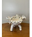 All White Footed Pea Pod Flower Bowl