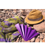 Folding Fan