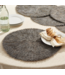 Set of 2 Guinea Feather Placemats