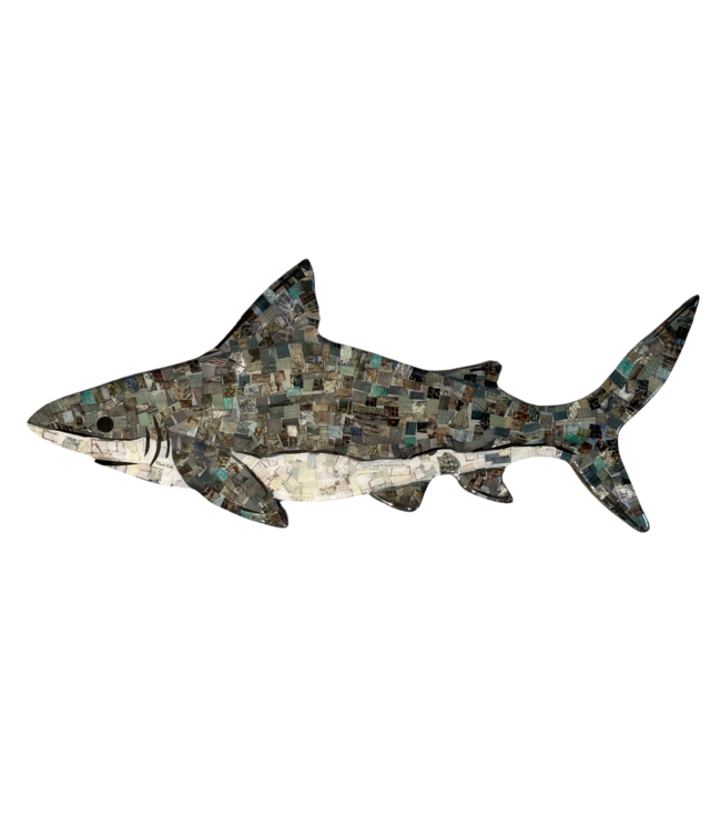 Cynthia Kolls Little Shark Collage