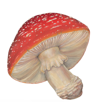 Hester and Cook Die-cut Mushroom Placemats