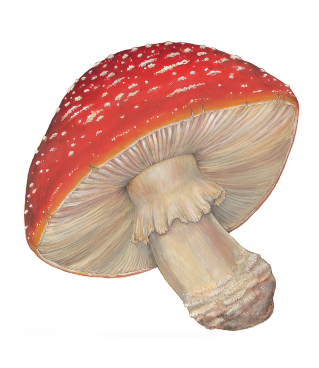 Die-cut Mushroom Placemats