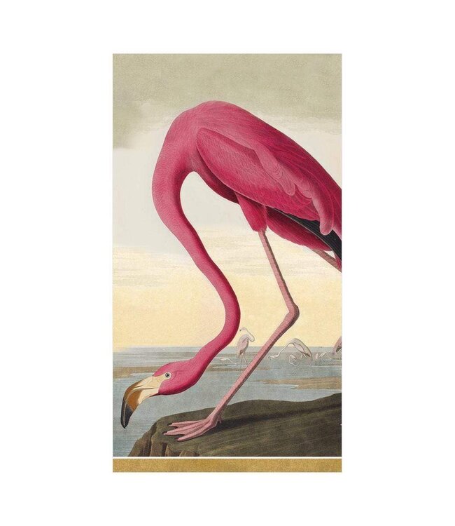 Audubon Birds Guest Towels