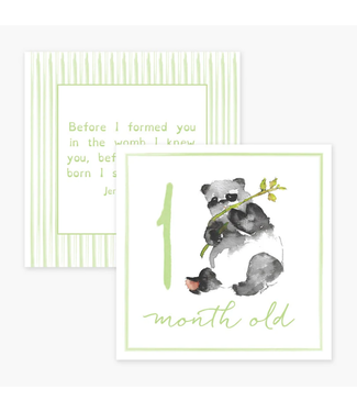Anne Neilson Home Milestone Cards