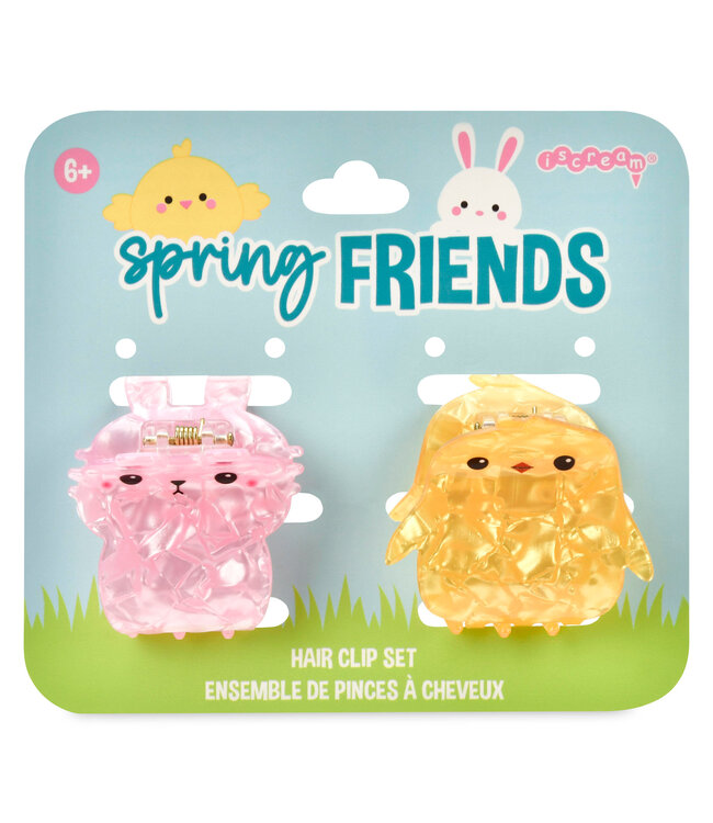 Spring Friends Hair Clips