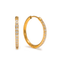 Evie 20mm Hoop Earrings