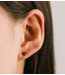 Bisou Stud Earrings