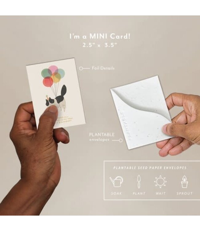 Birthday Kitty Seedling Mini Greeting Card