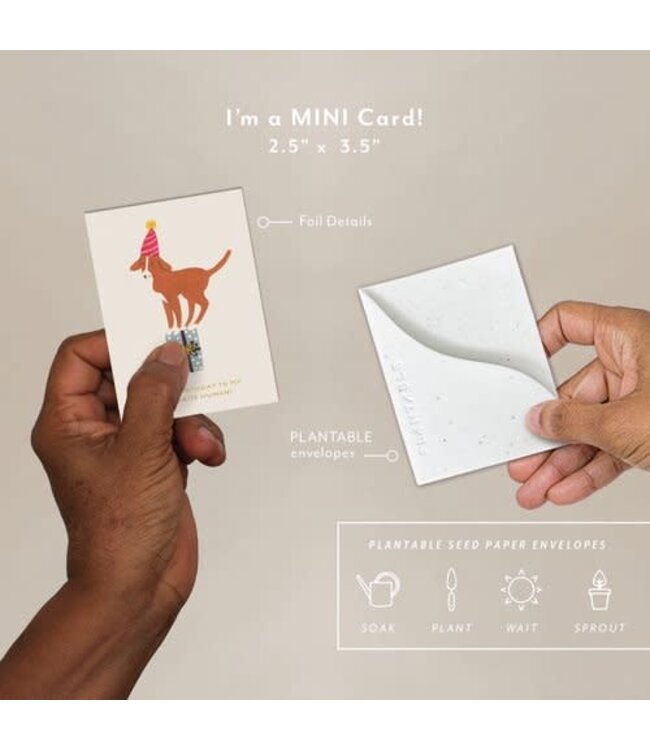 Birthday Dog Seedling Mini Greeting Card