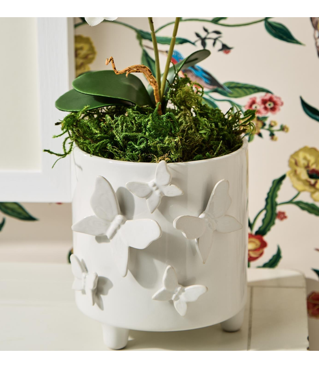 Butterfly Footed Cachepot