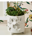 Butterfly Footed Cachepot