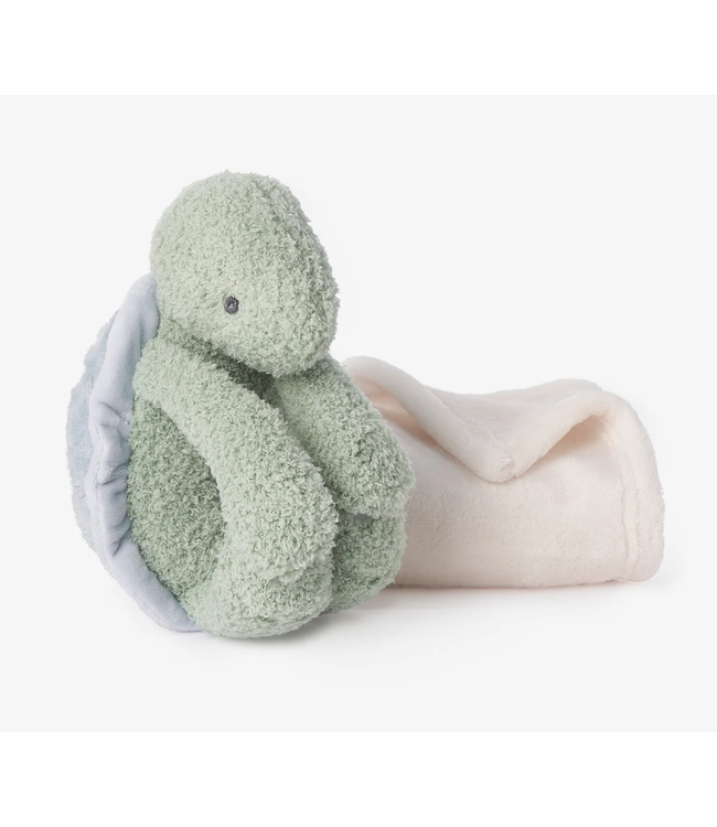 Turtle Plush Toy