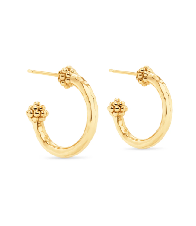 Berry Slice Small Hoop Earrings - Gold