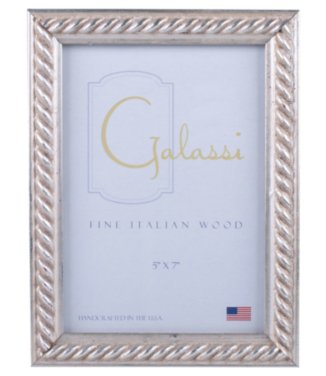 Silver Rapunzel Frame