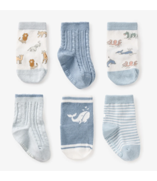 Elegant Baby World Traveler Socks 6 Pack