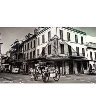 James Macaluso Napoleon House Small