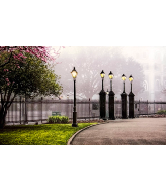 James Macaluso Jackson Square Post Small