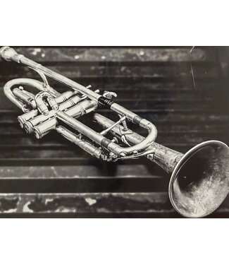 James Macaluso Trumpet on Bench Small