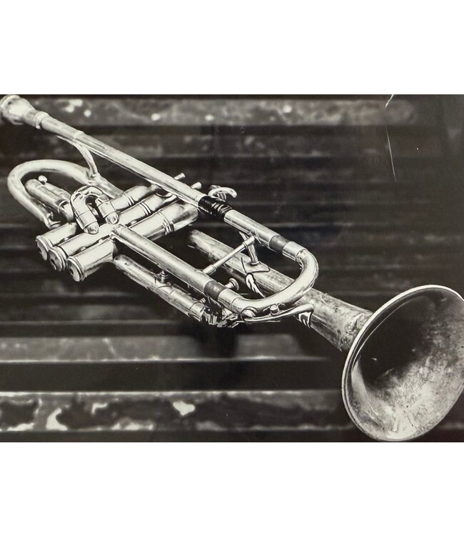 Trumpet on Bench Small