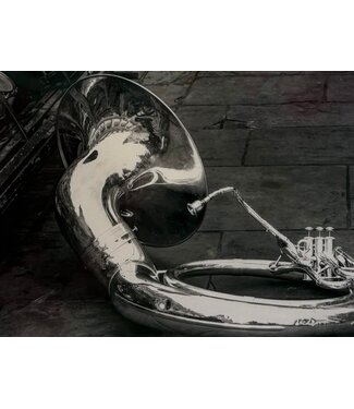 James Macaluso Tuba on the Ground Small