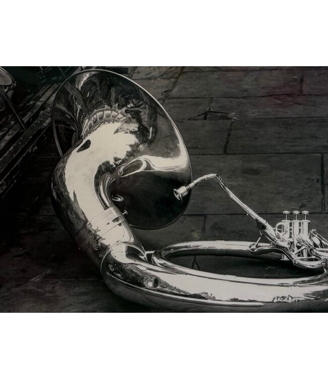 Tuba on the Ground Small