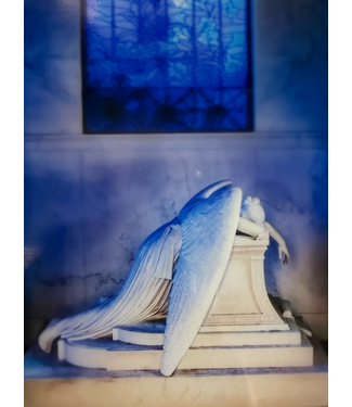 James Macaluso Weeping Angel 5x7