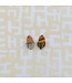 Southern Live Oak Stud