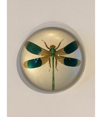 Saint Austin Company Dragonfly Paperweight