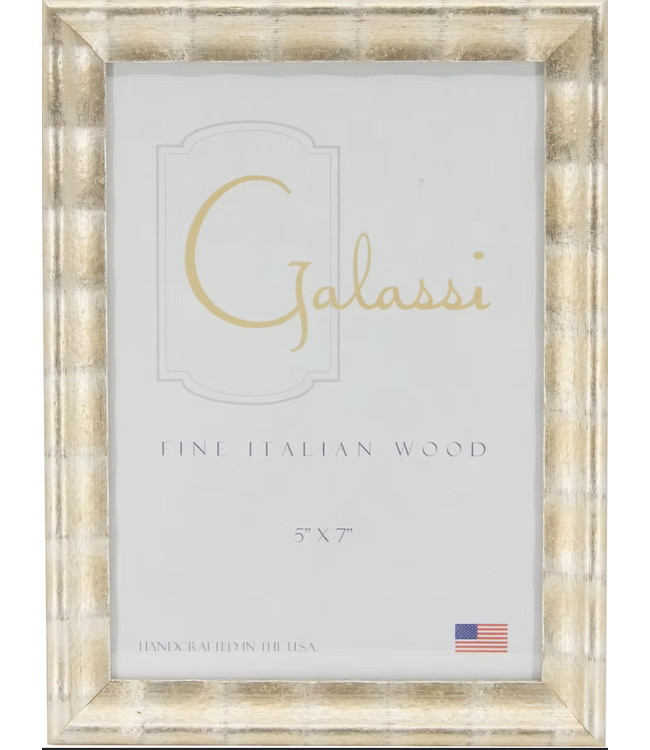 Silver Cane Frame