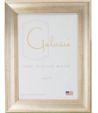Galassi Harvard Silver Frame