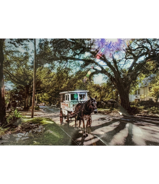 James Macaluso Roman Candy 5x7