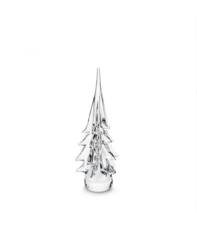 Spruce Evergreen in Gift Box -14 in
