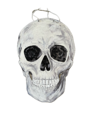 Cynthia Kolls Cynthia Kolls Skull Doorhanger (PVC)