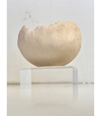 Objects in Clay Hatch with Acrylic Stand