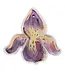 Iris Ornament