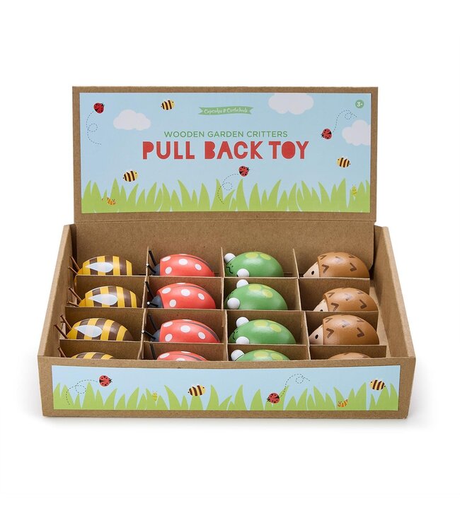Wooden Pull Back Bug Toy