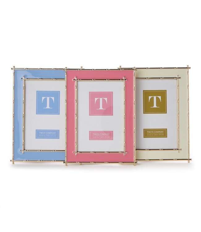 Gold Bamboo Edge 4x6 Metal Frame