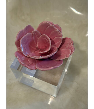 Bradley Alpaugh Friedrichs Acrylic Block Hot Pink Large