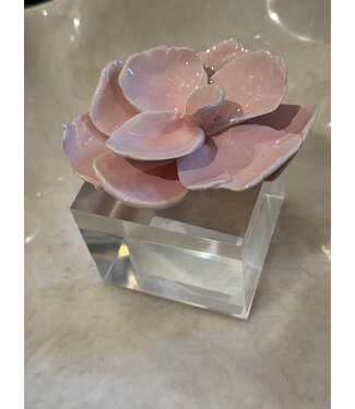 Bradley Alpaugh Friedrichs Acrylic Block Light Pink Large