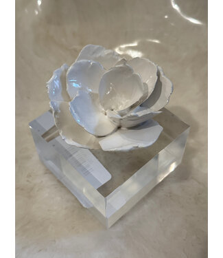Bradley Alpaugh Friedrichs Acrylic Block White Flower Large